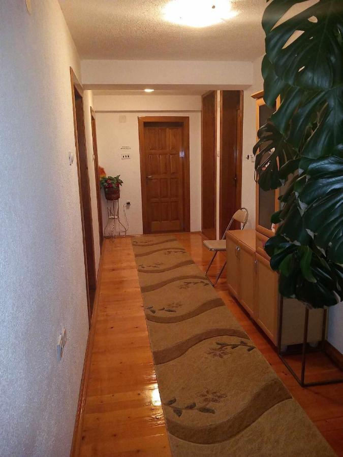 Apartment Little Village Plav Buitenkant foto